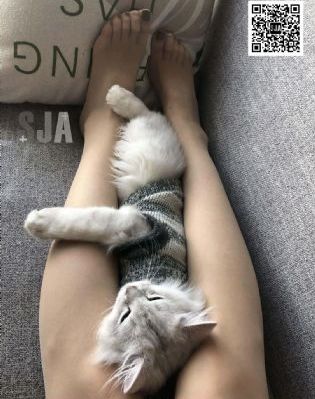 神勇武工队传奇1-40集免费看_蓝光免费观看最新