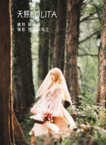 龙之家族第一季高清完整版_4K高清完整版